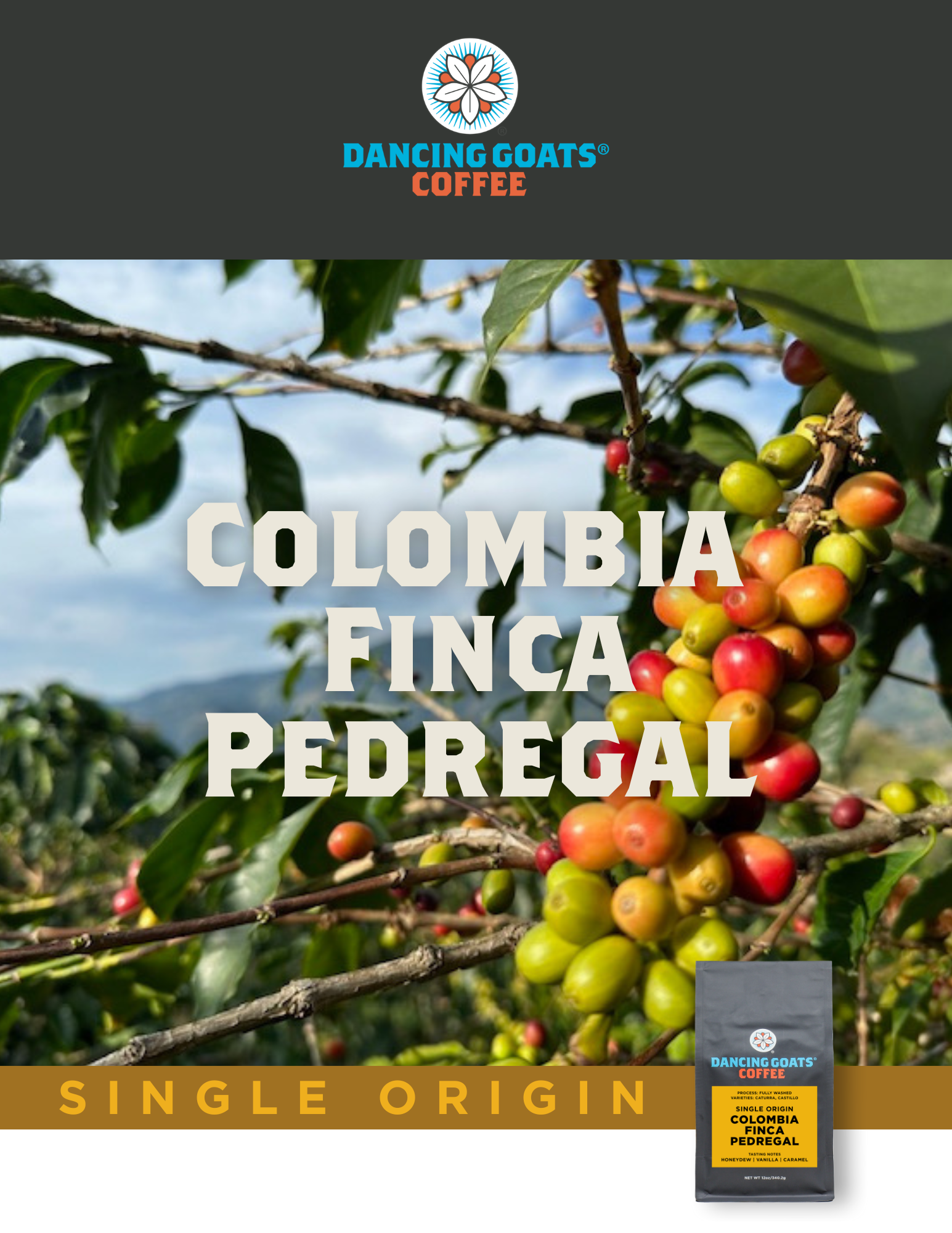 image of coffee cherries text: Colombia Finca Pedregal single origin