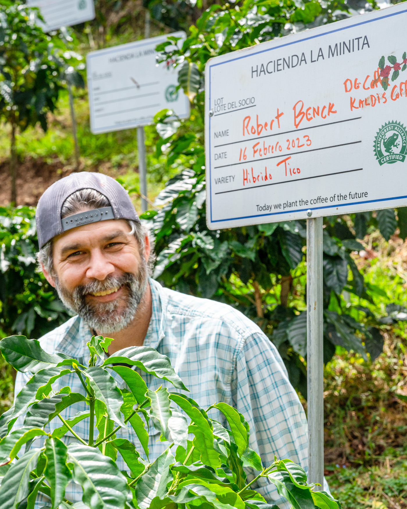 Bob standing next to coffee tree