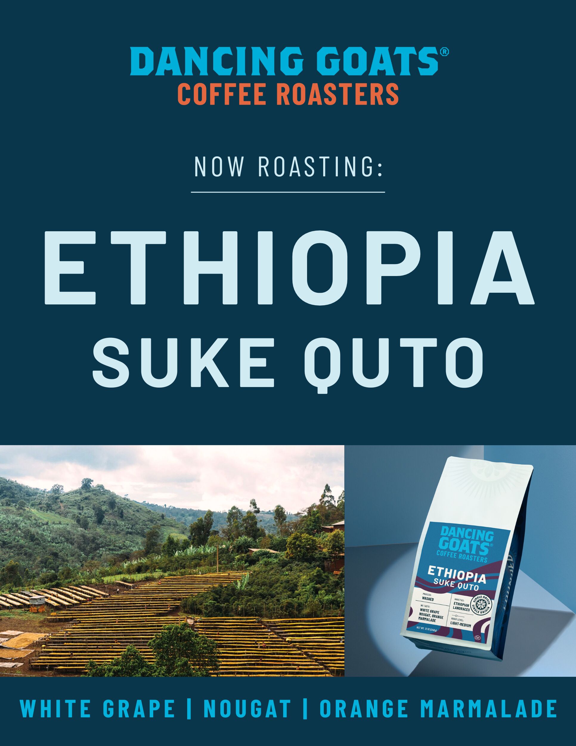 image of text: dancing goats coffee ethiopia suke quto coffee release